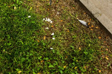 Yeşil yapay ot doğal arkaplan