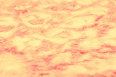 Peynir dolgulu lezzetli hamur işi