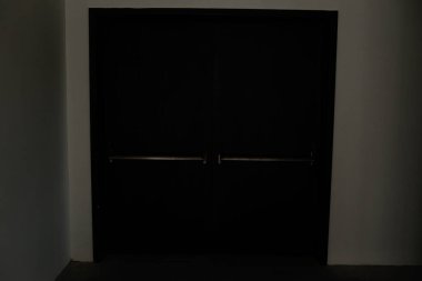 minimalist door, front door, wooden door, big wooden door