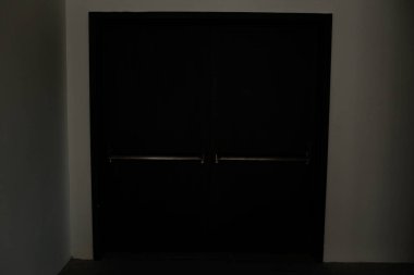 minimalist door, front door, wooden door, big wooden door