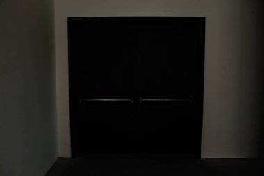 minimalist door, front door, wooden door, big wooden door