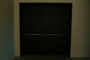 minimalist door, front door, wooden door, big wooden door