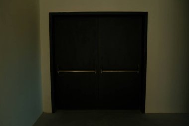 minimalist door, front door, wooden door, big wooden door