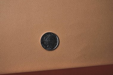 Yeni Zelanda Bozuklukları, Yeni Zelanda Doları