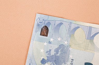 Avrupa para birimi, avro banknotları