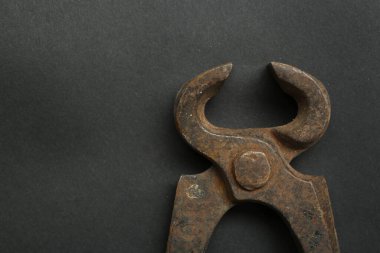 Bir çift paslı meme ucu.