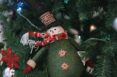 Çam Noel ağacı hediyesi.