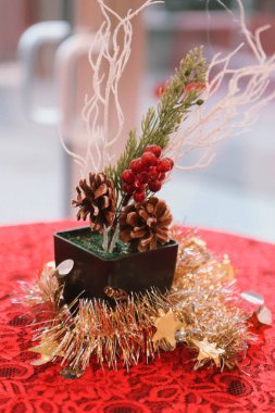 Çam Noel ağacı hediyesi.