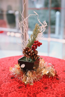 Çam Noel ağacı hediyesi.