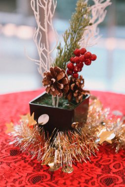 Çam Noel ağacı hediyesi.