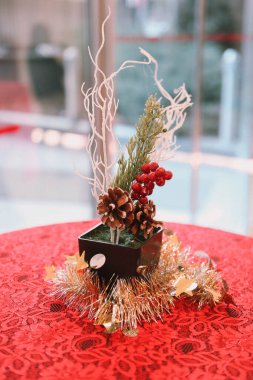 Çam Noel ağacı hediyesi.