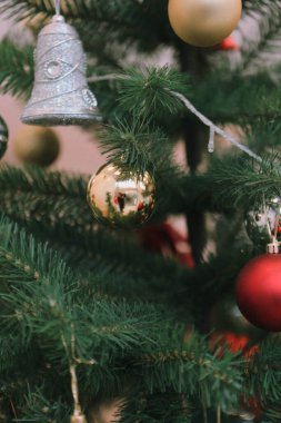 Çam Noel ağacı hediyesi.