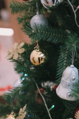 Çam Noel ağacı hediyesi.