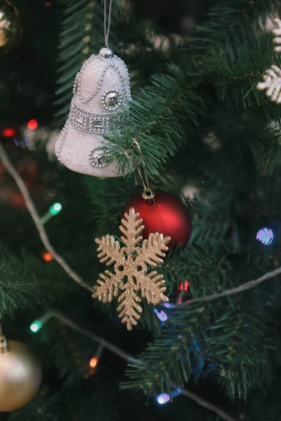 Çam Noel Ağacı Hediyesi — Stok fotoğraf