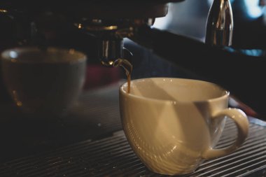 Kahve odasında kahve hazırlayan barista.