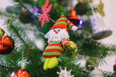 Çam Noel ağacı hediyesi.