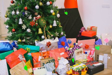 Çam Noel ağacı hediyesi.