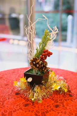 Çam Noel ağacı hediyesi.