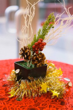 Çam Noel ağacı hediyesi.