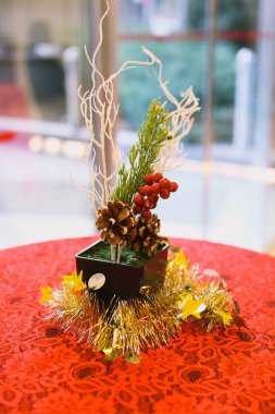 Çam Noel ağacı hediyesi.