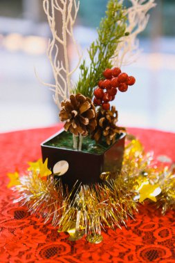 Çam Noel ağacı hediyesi.