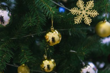 Çam Noel ağacı hediyesi.