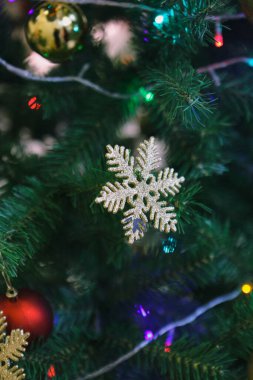 Çam Noel ağacı hediyesi.