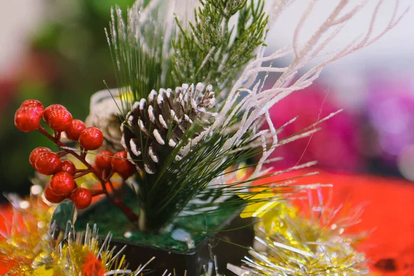 Pine Julgran Gåva — Stockfoto