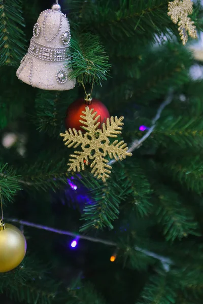 Çam Noel Ağacı Hediyesi — Stok fotoğraf
