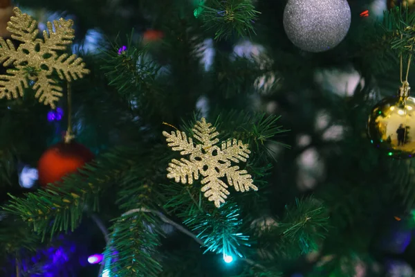 소나무 크리스마스 — 스톡 사진