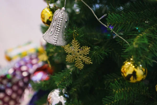 Pinho Presente Árvore Natal — Fotografia de Stock