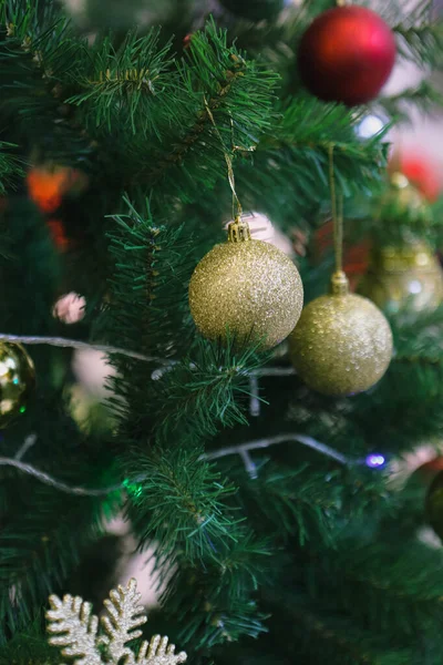 Çam Noel Ağacı Hediyesi — Stok fotoğraf