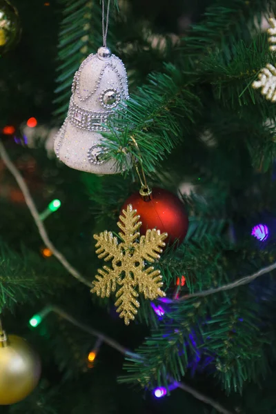 소나무 크리스마스 — 스톡 사진