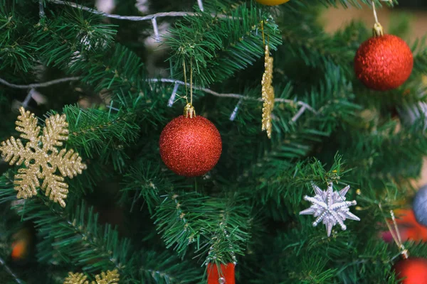 Çam Noel Ağacı Hediyesi Stok Fotoğraf