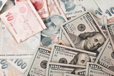 Türk Lirası ve Amerikan Doları