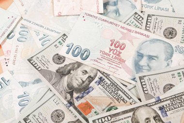 Türk Lirası ve Amerikan Doları