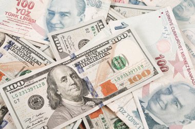 Türk Lirası ve Amerikan Doları