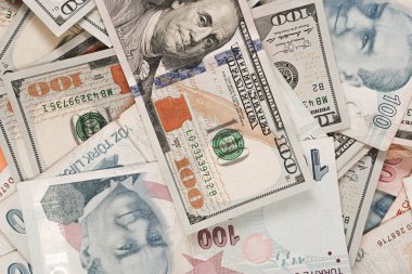 Türk Lirası ve Amerikan Doları
