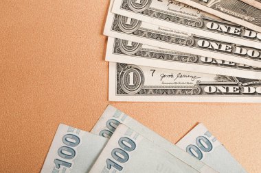 Türk Lirası ve Amerikan Doları