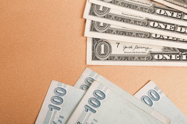 Türk Lirası ve Amerikan Doları