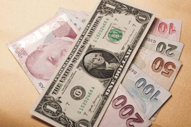 Türk Lirası ve Amerikan Doları