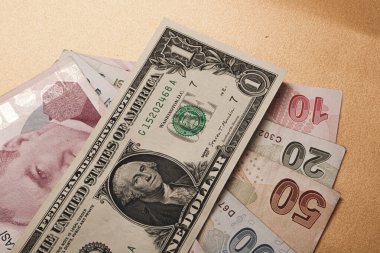 Türk Lirası ve Amerikan Doları