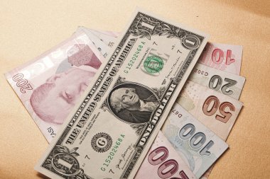 Türk Lirası ve Amerikan Doları