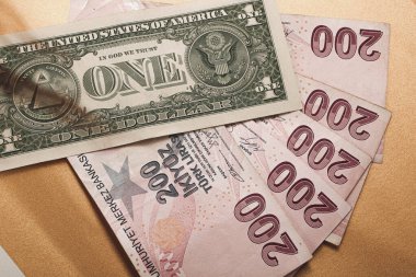 Türk Lirası ve Amerikan Doları