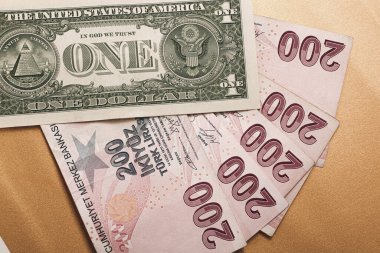 Türk Lirası ve Amerikan Doları