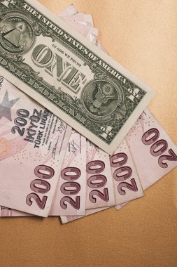 Türk Lirası ve Amerikan Doları