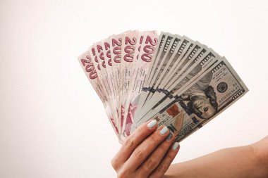 Türk Lirası ve Amerikan Doları