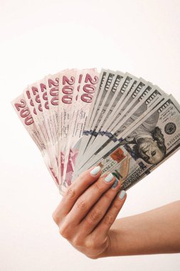 Türk Lirası ve Amerikan Doları