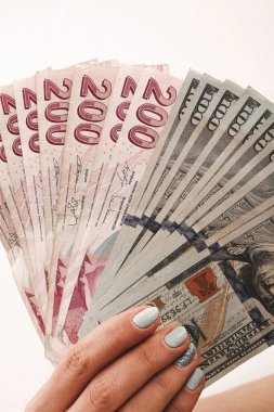 Türk Lirası ve Amerikan Doları