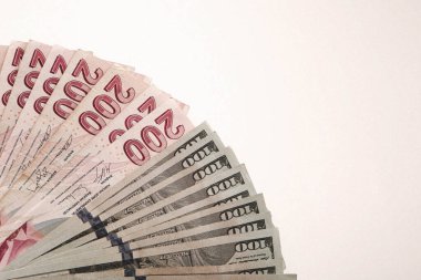Türk Lirası ve Amerikan Doları